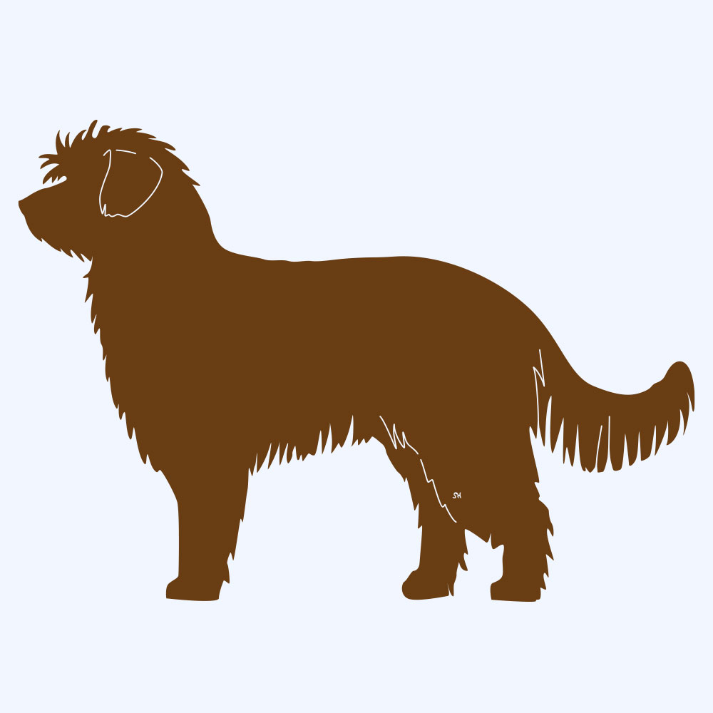 Rostfigur-Prototyp – rostbraun eingefärbte Form der Hunderasse Berger de Pyrene