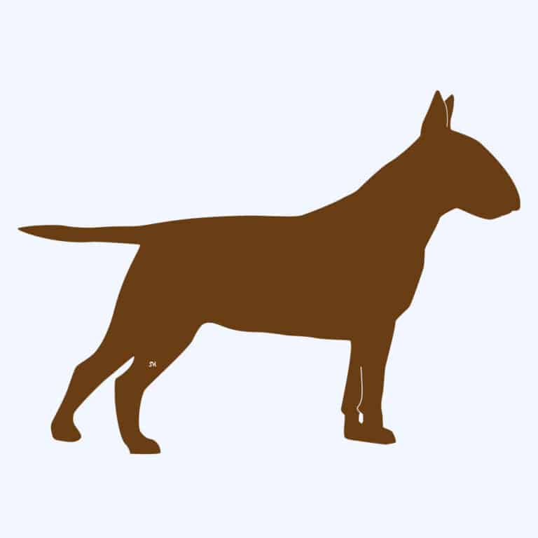 Rostfigur-Prototyp – rostbraun eingefärbte Form der Hunderasse Bullterrier