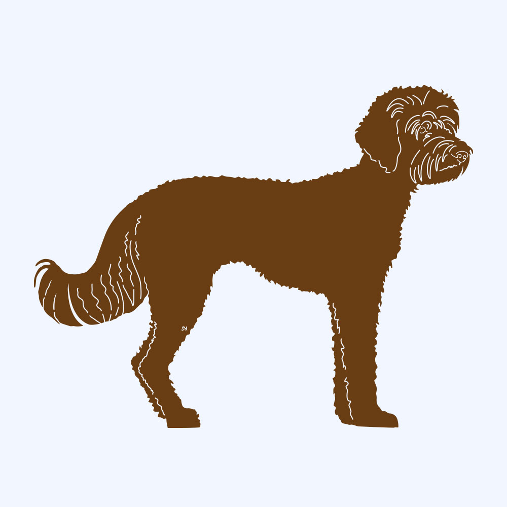 Rostfigur-Prototyp – rostbraun eingefärbte Form der Hunderasse Cobberdog