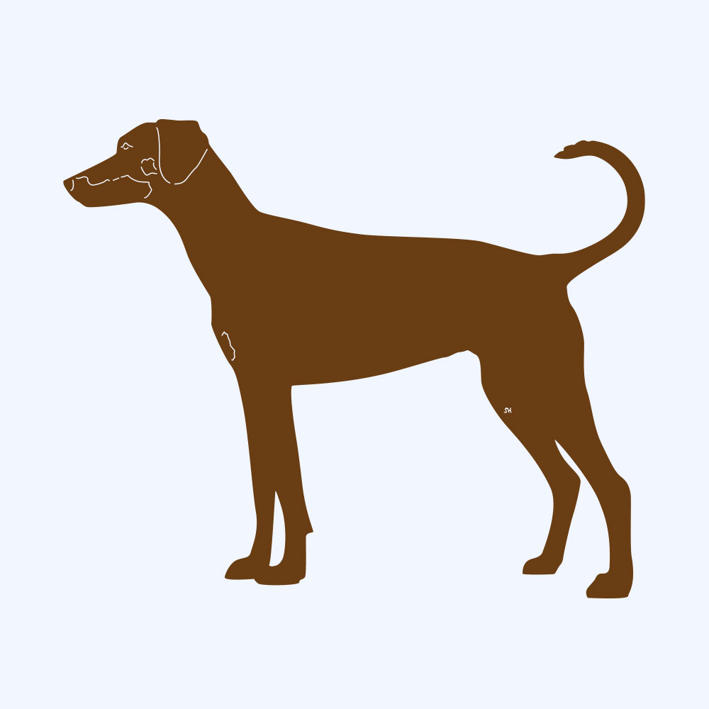 Rostfigur-Prototyp – rostbraun eingefärbte Form der Hunderasse Dobermann