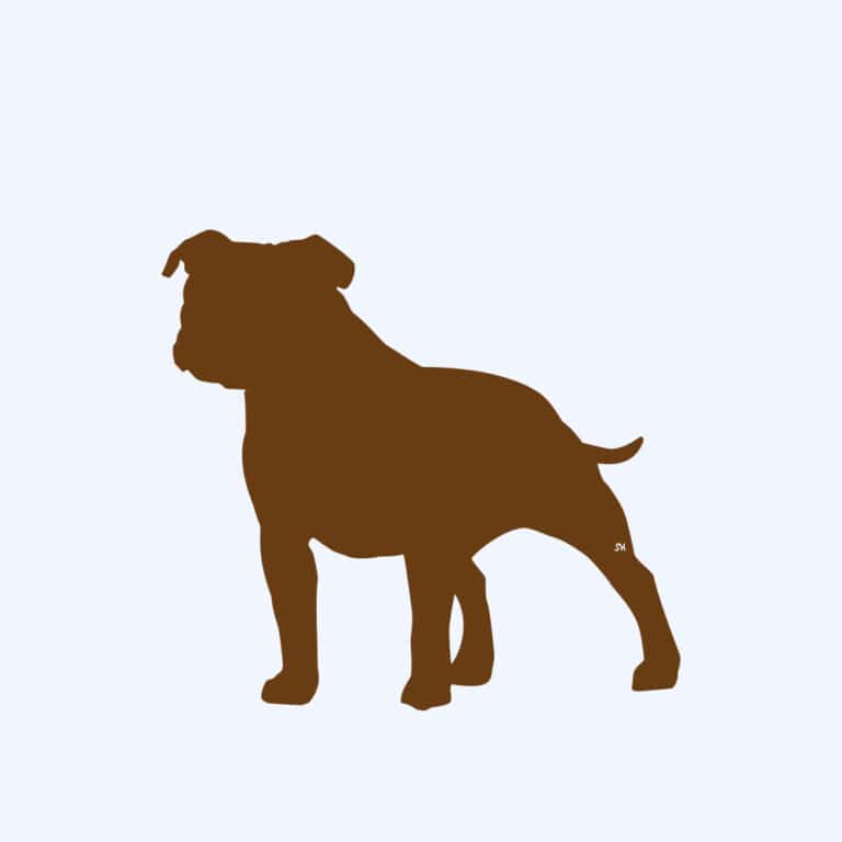 Rost-Prototyp – rostbraun gefärbte Form der Hunderasse Englischer Staff Terrier