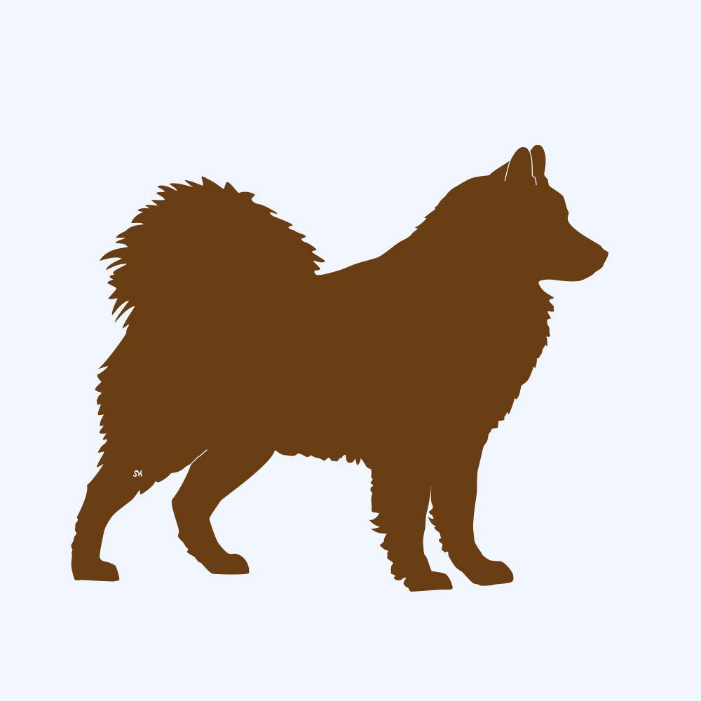 Rostfigur-Prototyp – rostbraun eingefärbte Form der Hunderasse Eurasier