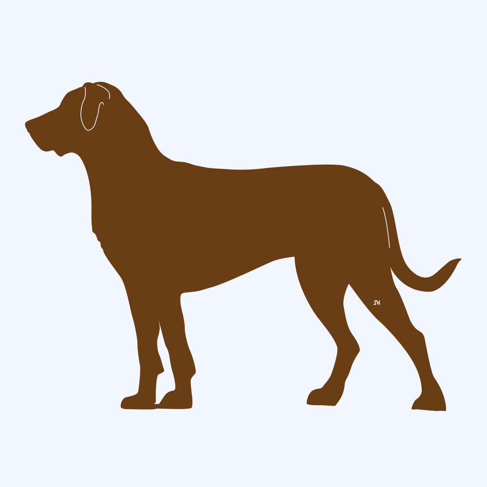 Rostprototyp – rostbraun eingefärbte Form der Rostfigur Grosser Schweizer Sennenhund