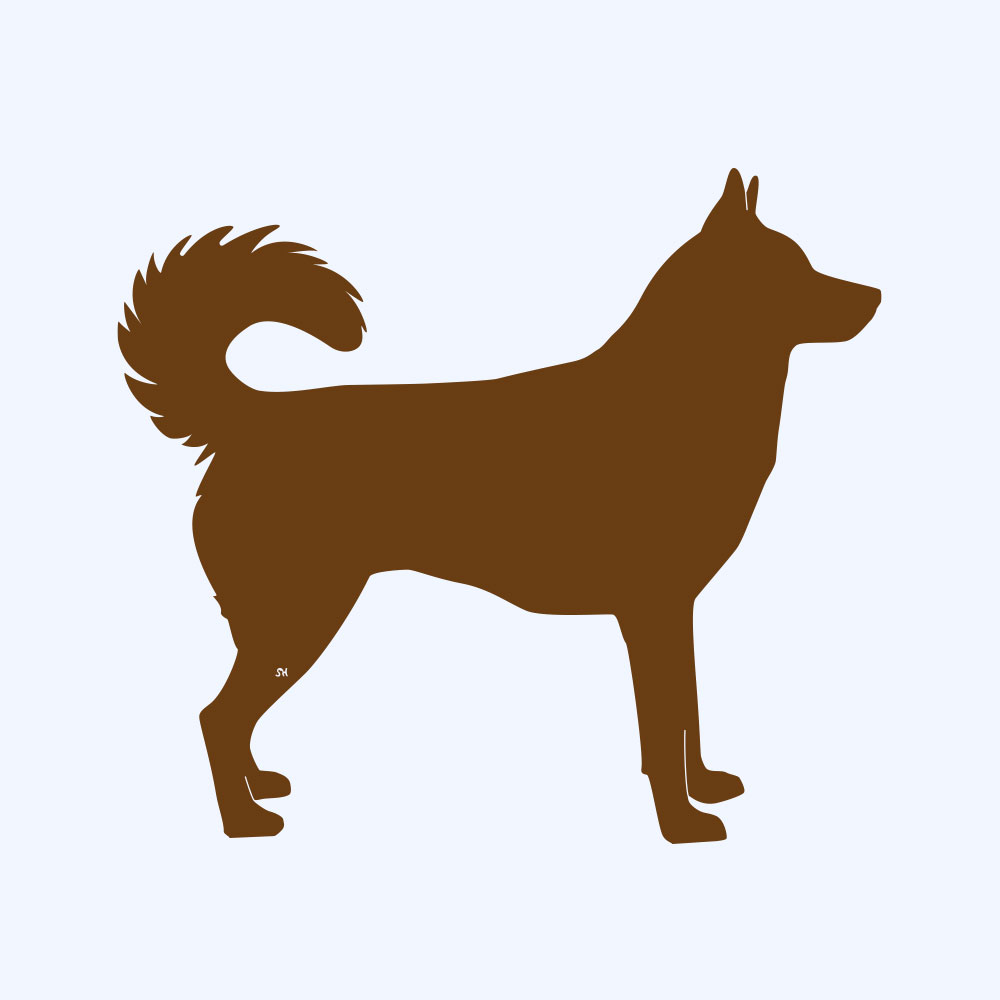 Rostfigur-Prototyp – rostbraun eingefärbte Form der Hunderasse Husky