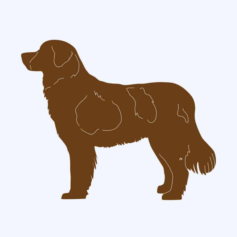 Rostfigur-Prototyp – rostbraun eingefärbte Form der Hunderasse Landseer