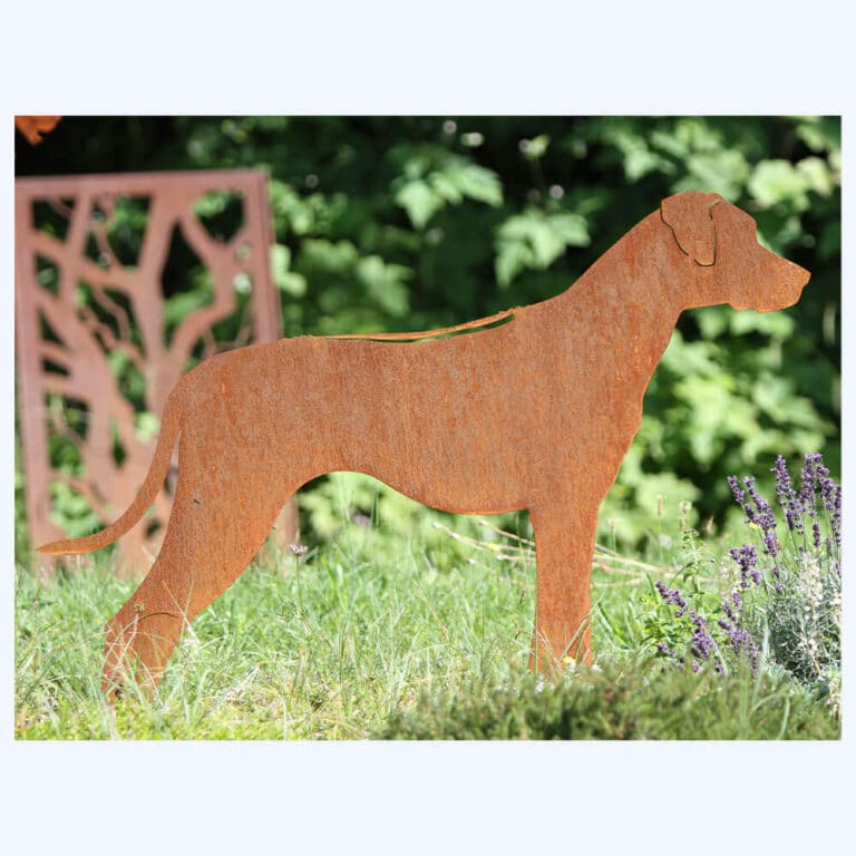 Rhodesian Ridgeback als Rostfigur im Rasen eingesteckt