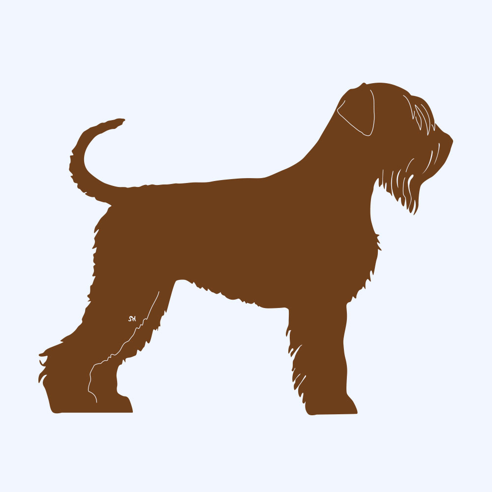 Rost-Prototyp – rostbraun gefärbte Form der Hunderasse Russischer Terrier