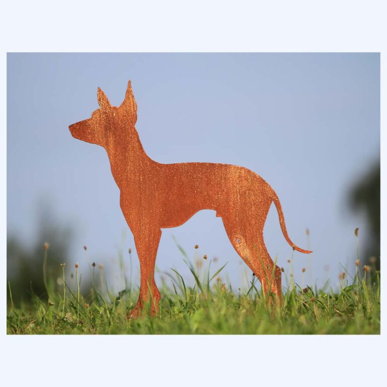 Rostiger Xoloitzcuintle als Blechfigur im Rasen eingesteckt