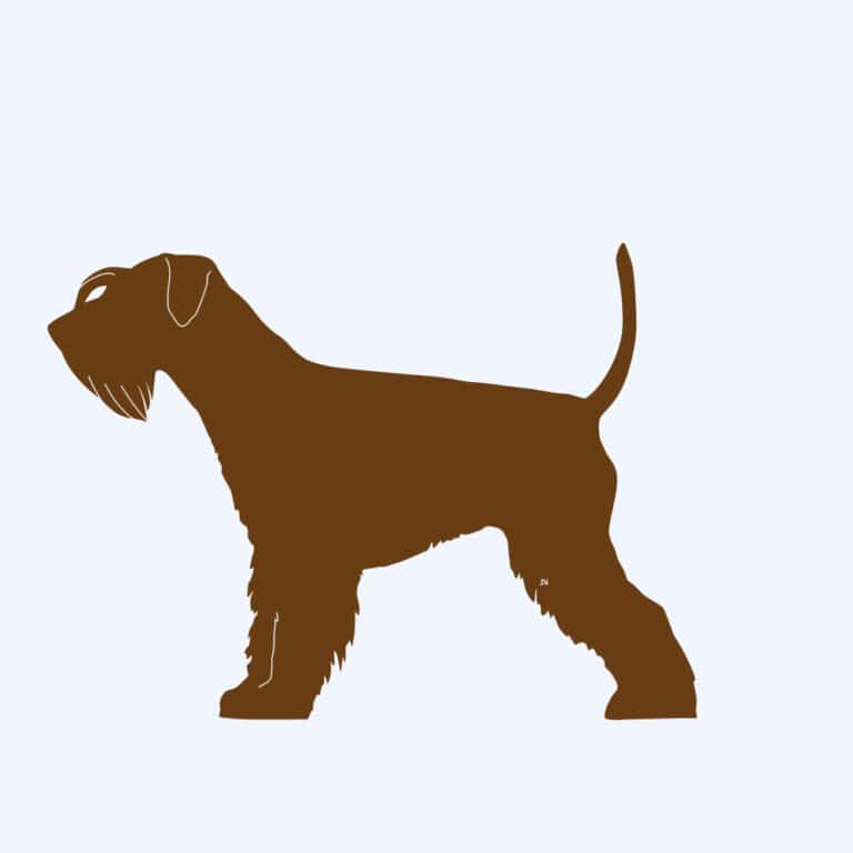Rostbraun eingefärbter Prototyp der Rostfigur Zwergschnauzer