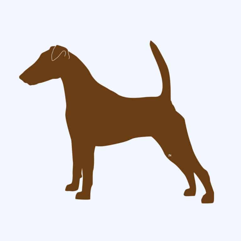 Rostfigur-Prototyp – rostbraun eingefärbte Form der Hunderasse glatthaar Foxterrier
