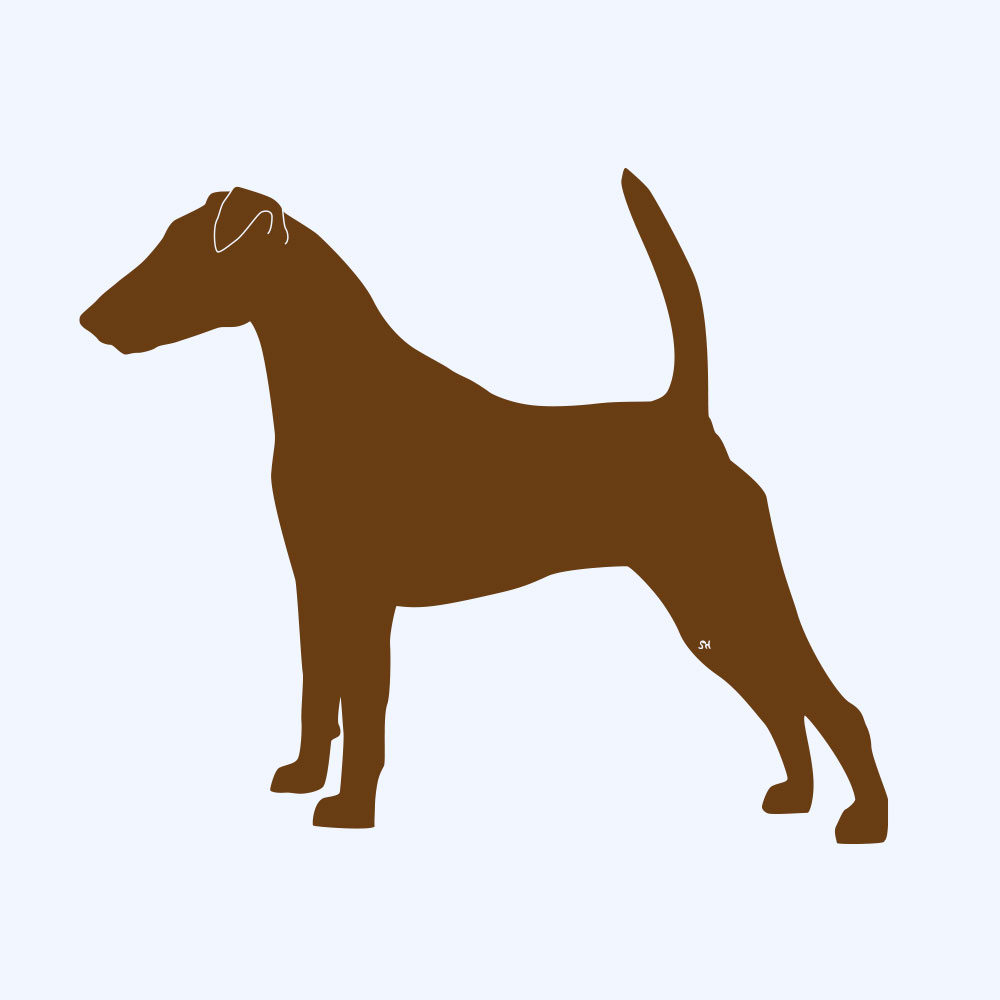 Rostfigur-Prototyp – rostbraun eingefärbte Form der Hunderasse glatthaar Foxterrier