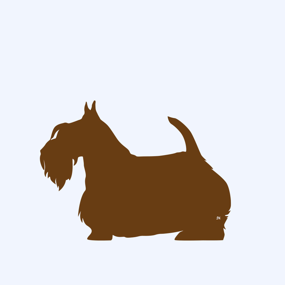 Rost-Prototyp – rostbraun gefärbte Form der Hunderasse scottish Terrier