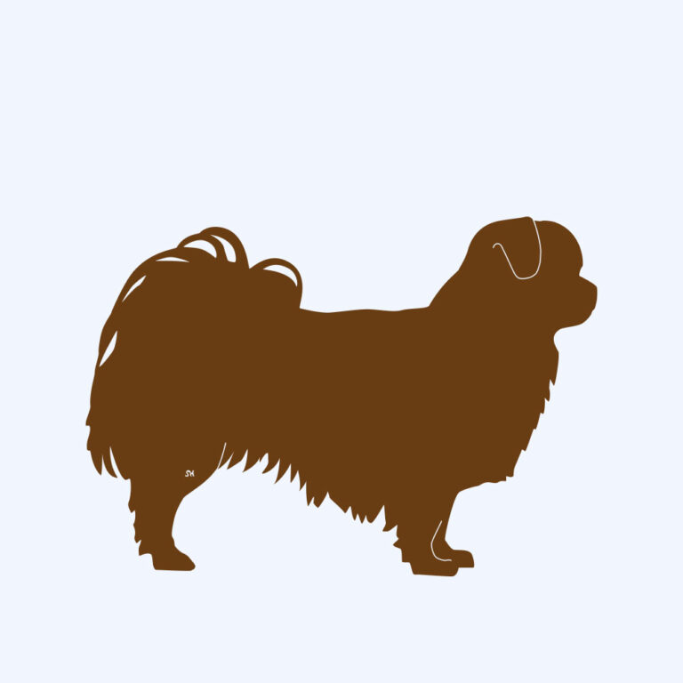 Rost-Prototyp – rostbraun gefärbte Form der Hunderasse Tibet Spaniel
